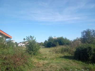 زمین 2000 متری در چلک نوشهر