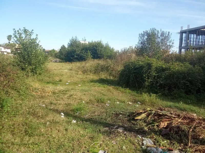 زمین 2000 متری در چلک نوشهر13849428425