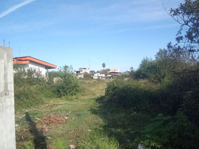 زمین 2000 متری در چلک نوشهر13849428427