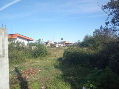 زمین 2000 متری در چلک نوشهر