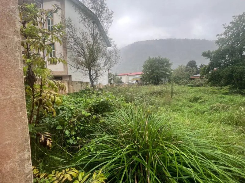 زمین 730 متری در نوشهر13849328423