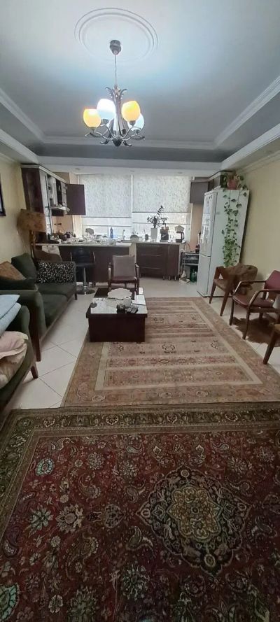 آپارتمان 60 متری یک خوابه در کامرانیه جنوبی تهران