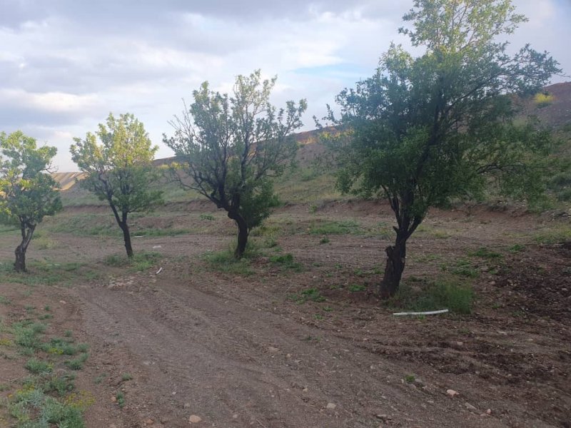 زمین 20000 متری در شبستر تبریز13958729932