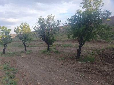 زمین 20000 متری در شبستر تبریز