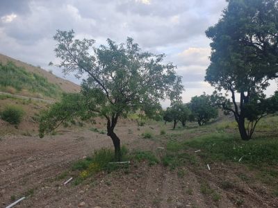 زمین 20000 متری در شبستر تبریز