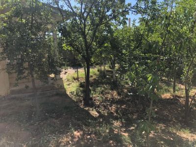 ویلا 520 متری در جزینان طالقان