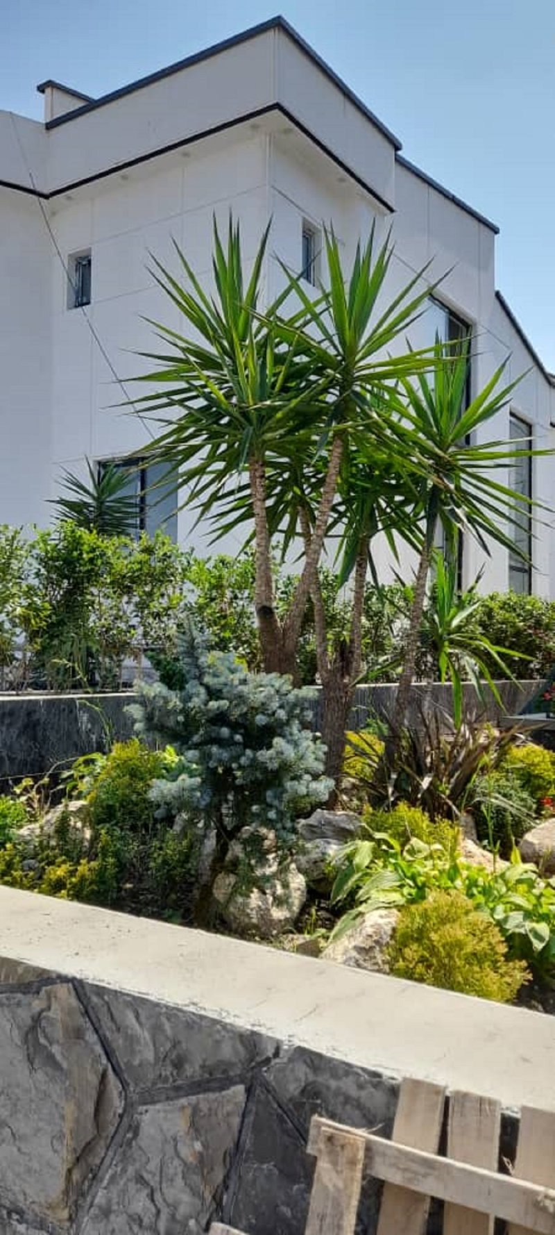 ویلا 7700 متری چهارخوابه در رامسر14103532008