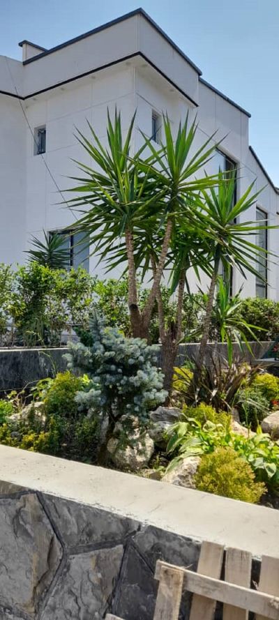 ویلا 7700 متری چهارخوابه در رامسر