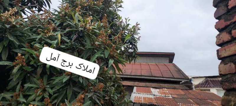 کلنگی 231 متری در بلوار بسیج آمل14192033286