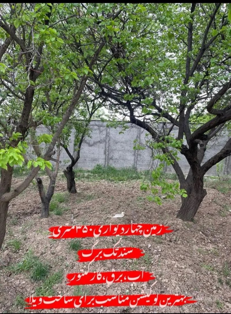 باغ 350 متری در شهرک زعفرانیه کرج14280834642