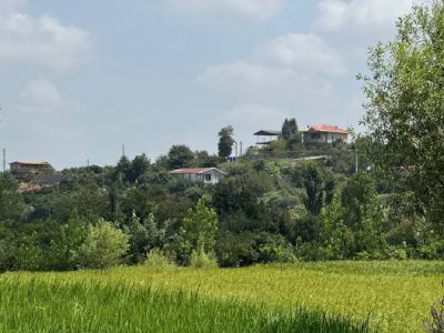 زمین 212 متری در قائمشهر قائم شهر