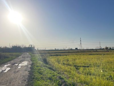 زمین 750 متری در جاده قراخیل قائم شهر