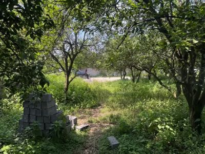 زمین 285 متری در قائمشهر قائم شهر