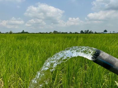 زمین 750 متری در جاده قراخیل قائم شهر