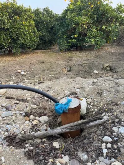 باغ 1950 متری در جاده نظامی قائم شهر