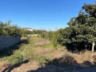 زمین 177 متری در قائمشهر قائم شهر