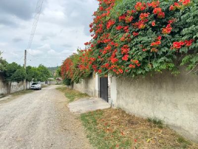 باغ 1000 متری دو خوابه در قائمشهر قائم شهر