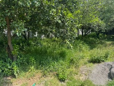 زمین 285 متری در قائمشهر قائم شهر