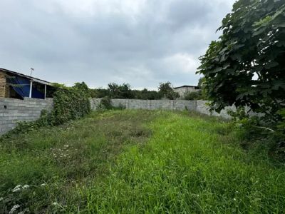 زمین 220 متری در قائمشهر قائم شهر