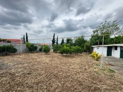 باغ 1000 متری دو خوابه در قائمشهر قائم شهر