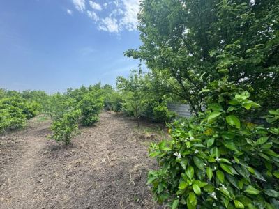 باغ 2000 متری در جاده نظامی قائم شهر