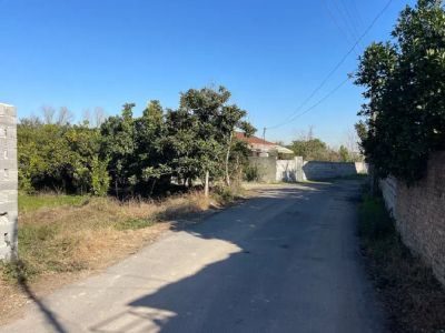 زمین 177 متری در قائمشهر قائم شهر