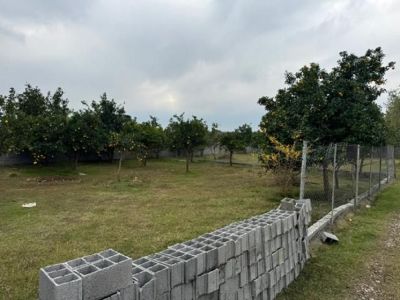 باغ 900 متری در قائمشهر قائم شهر