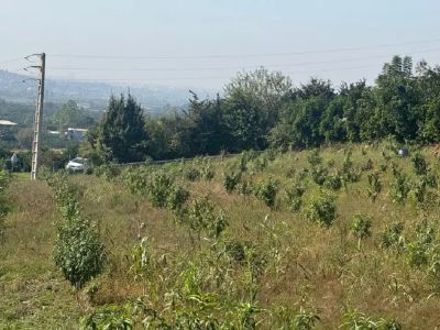 زمین 2200 متری در قائمشهر قائم شهر