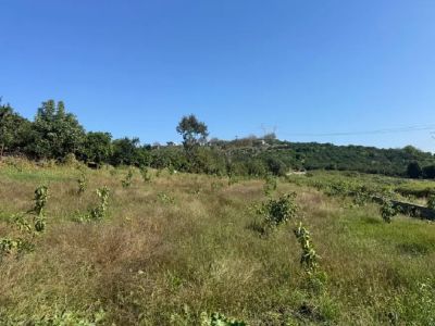 زمین 2200 متری در قائمشهر قائم شهر