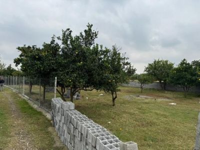 باغ 900 متری در قائمشهر قائم شهر