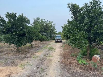 زمین 200 متری در جاده نظامی قائم شهر