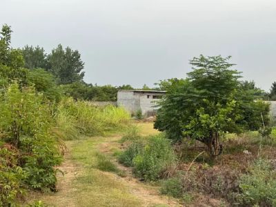 زمین 200 متری در جاده نظامی قائم شهر