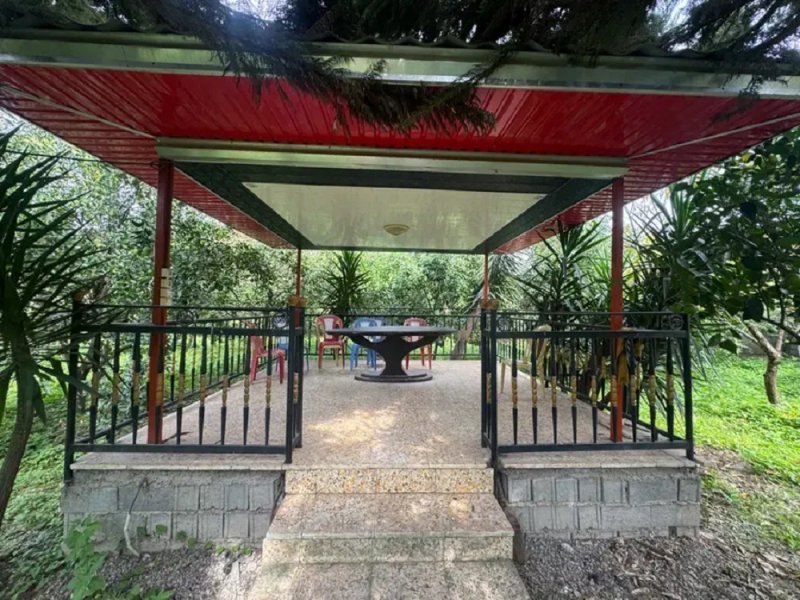 باغ 1400 متری یک خوابه در جاده نظامی قائم شهر14298935003