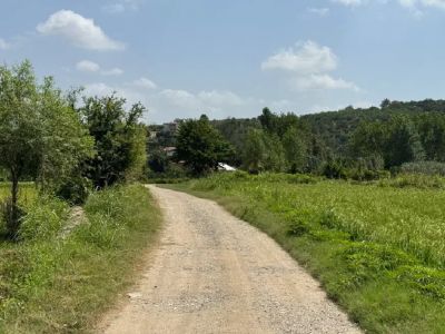 زمین 212 متری در قائمشهر قائم شهر