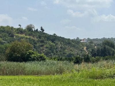 زمین 212 متری در قائمشهر قائم شهر