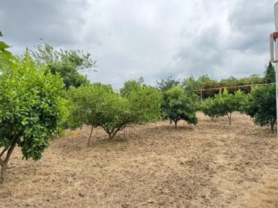 باغ 1000 متری دو خوابه در قائمشهر قائم شهر