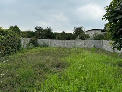 زمین 220 متری در قائمشهر قائم شهر