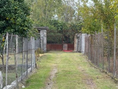 باغ 900 متری در قائمشهر قائم شهر