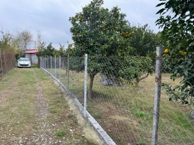 باغ 900 متری در قائمشهر قائم شهر