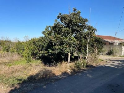 زمین 177 متری در قائمشهر قائم شهر