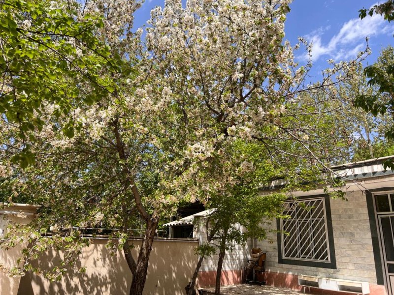 ویلا 220 متری دو خوابه در سهیلیه کرج14310635100