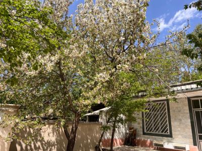 ویلا 220 متری دو خوابه در سهیلیه کرج