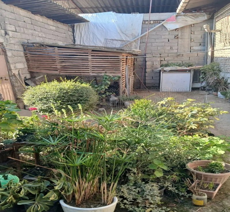 خانه 187 متری دو خوابه در قائمشهر قائم شهر14318335209