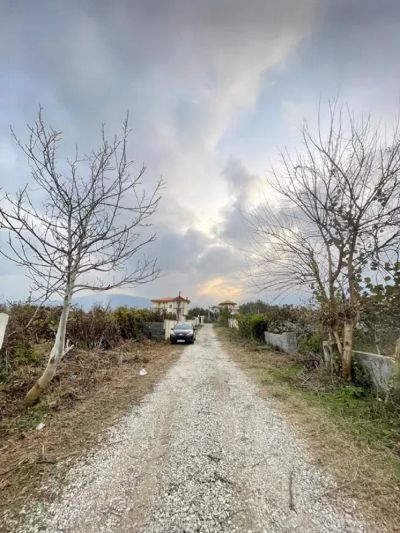 زمین 80 متری در چالوس