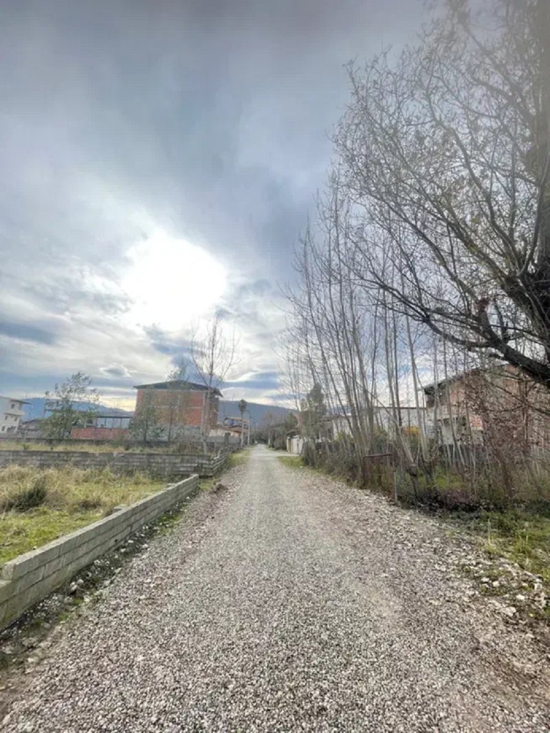 زمین 110 متری در چالوس14357135908