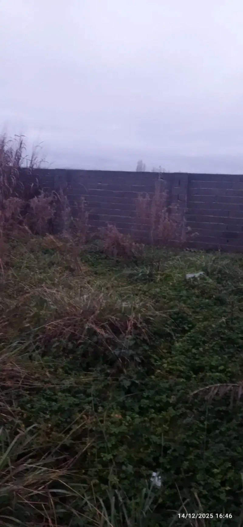 زمین 130 متری در چشمه سر قائم شهر14364936005