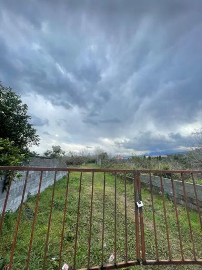 زمین 185 متری در چالوس