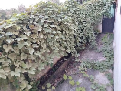 خانه 200 متری دو خوابه در نوشهر