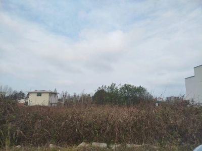 زمین 292 متری در نوشهر