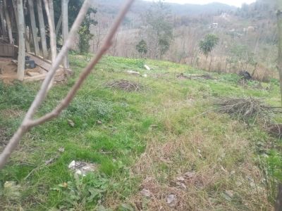 زمین 600 متری در رشت